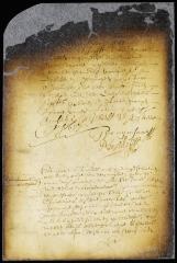 Agreement of the guardians of Jacob Wolphertsen van Couwenhoven's children to the court's order
