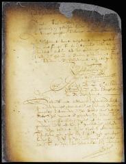 Order on petition of Cornelis van Ruyven