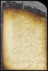 Order in the case of Jacob Wolphertsen van Couwenhoven's minor children by his first wife