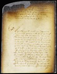 Appointment of Nicholas Verleth as commissary of imports and exports