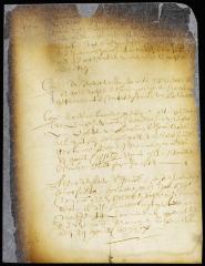 Proceedings in the case of widow Morris vs. Egbert van Borsum's slave