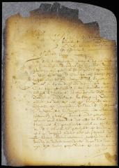 Order allowing rev. Mr. Megapolensis 300 guilders a year