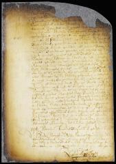 Petition of Salvador d'Andrada and other Jews that the burgomasters of New Amsterdam had refused to admit them to the right of citizenship