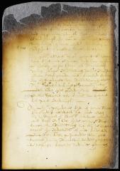 Judgment in the case of Thomas Stevenson vs. Elias Bailey