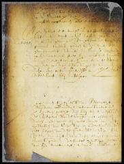 Order for the issue of a writ of appeal to Isaac Mesa from a judgment pronounced against him by the vice-director at the South river