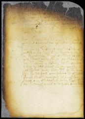 Order for the release of Jochem Wessels on bail
