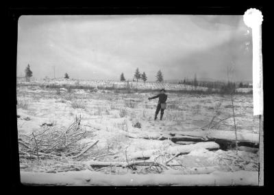 Sowing tree seed broadcast at Lake Clear