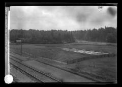 State nursery at Saranac Inn Station