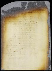 Answer to petition of the burgomasters and schepens