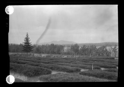 Nursery at Saranac Inn Station