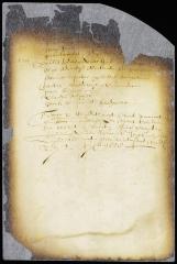 Appointment of burgomasters and schepens for the city of New Amsterdam for the ensuing year