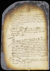 Memorandum that Jan Theunissen becomes a party to the contract to build a windmill on Manhattan instead of Hartogbvelt