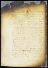 Opinion of surgeons of New Amsterdam on a post mortem examination of the body of Bruyn Barentsen