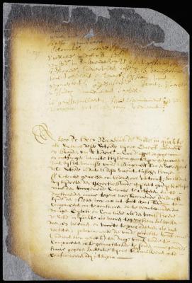 Order for an appeal from a judgment of the court of New Amsterdam