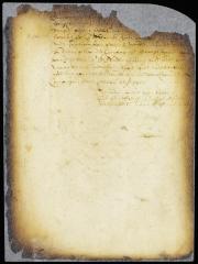 Answer of the burgomasters and schepens explaining why they had not nominated any of the company's servants