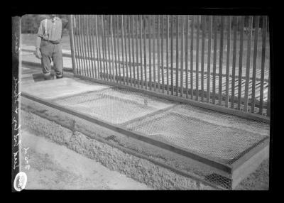 Seed bed box and shade