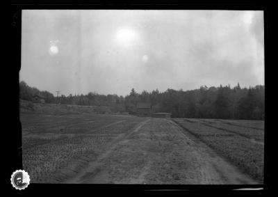 State nursery at Saranac Inn Station