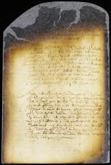 Resolution to farm the windmill in New Amsterdam