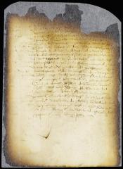 Order in council on the letter from Jacob Jansen Huys' wife to director Stuyvesant