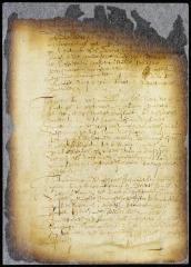 Privileges to be granted to those settling the new village of Haerlem