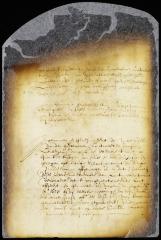 Minute of Jacques Corteljou presenting a survey of land in dispute between John Hicks and Hendrick Jansen to the council