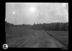 State nursery at Saranac Inn Station
