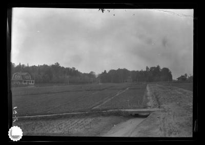 State nursery at Saranac Inn Station