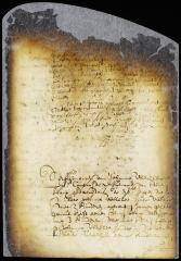 Judgment in the case of the heirs of Johanna Wheeler vs. the heirs of Henry Feaks