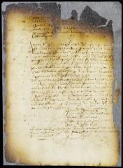 Letter from Cornelis Steenwyck and the principal merchants to the director and council