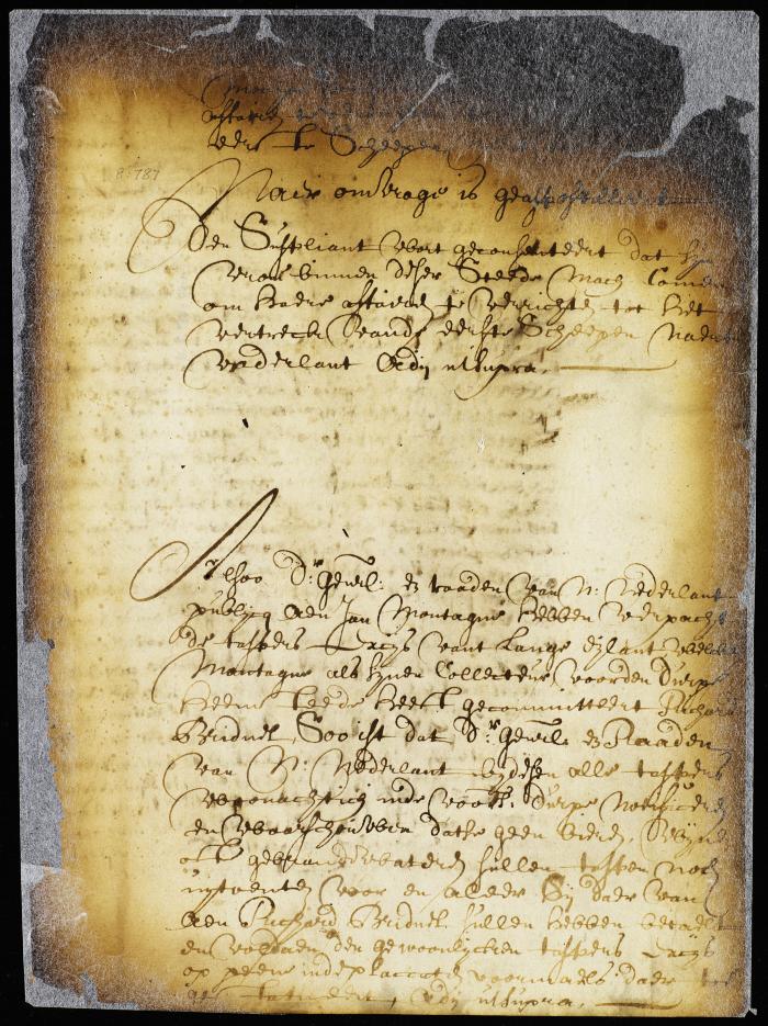 Order permitting Helena de Bree to return to the city of New Amsterdam to arrange her private affairs before sailing for Holland