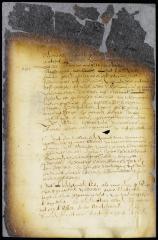 Report of Director Stuyvesant on the affairs at the South river