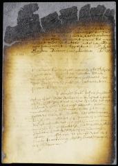 Opinions of the several members of the council on Thomas Willett's petition