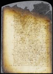 Resolution to summon the principal merchants of New Amsterdam before the council for consultation on proposed changes in the customs