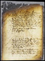 Permit to Abraham Pietersen to erect a water mill on the Fresh water, New Amsterdam