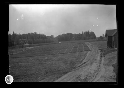 State nursery at Saranac Inn Station