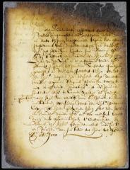 Judgment reversing decision of the court of New Amsterdam in the case of Hendricksen vs. Doeckles