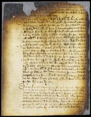 Propositions submitted to the council by Johan de Deckere, receiver-general