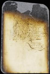 Resolution to enclose the city of New Amsterdam by a double row of palisades
