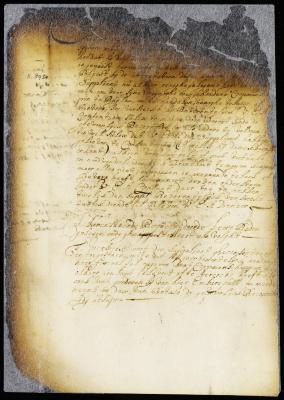 Petition of Hendrick Ryken, skipper of the ship Sphera Mundi, for leave to purchase tobacco and beaver