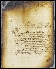 Petition of councillor Tonneman for some allowance as sheriff and secretary of the district of Breuckelen