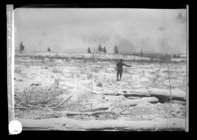 Sowing tree seed broadcast at Lake Clear