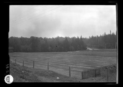 State nursery at Saranac Inn Station