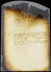 Order of magistrates of Flushing and Eastdorp to arrest Hans Pietersen