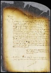 Petition of skipper and sailors of the Gilded Beaver for permission to export a lot of beaver