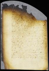 Remonstrance of burgomasters and schepens of New Amsterdam to the director and council on the value of wampum