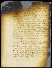 Petition of Nicolas Gregorius Hillebrantsen to be allowed to defend himself from an accusation of sodomy