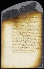 Petition of burgomasters and schepens of New Amsterdam in support of the merchants' request to trade with foreign countries