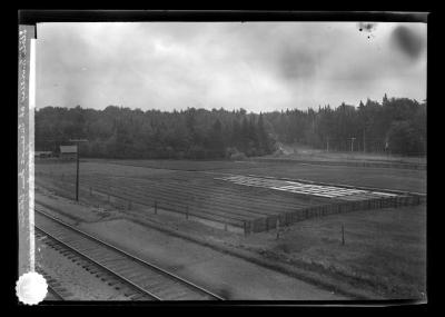 State nursery at Saranac Inn Station