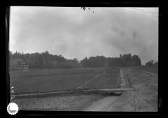 State nursery at Saranac Inn Station