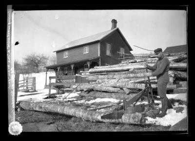 Sawing wood with a "one man" saw